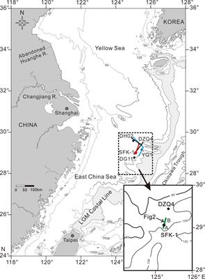 Revisit the Sedimentary Stratigraphic Evolution and Environmental Changes on the Outer Shelf of the East China Sea Since MIS 5